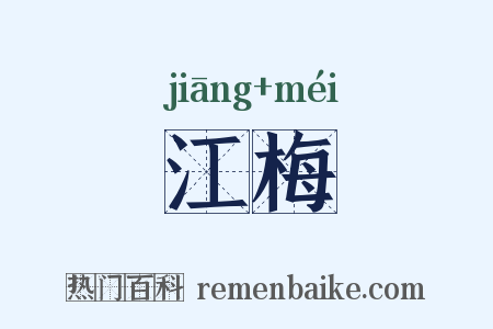 江梅是什么意思的图片